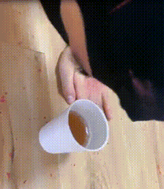 IMG_3772.GIF