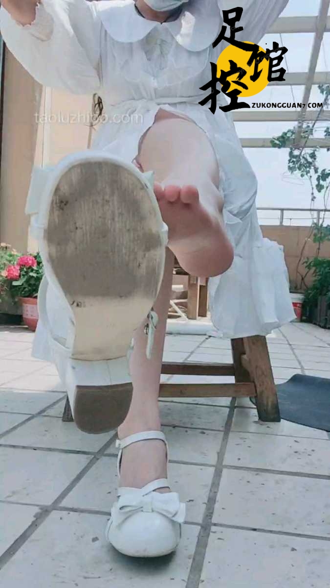 1692326850397.jpg